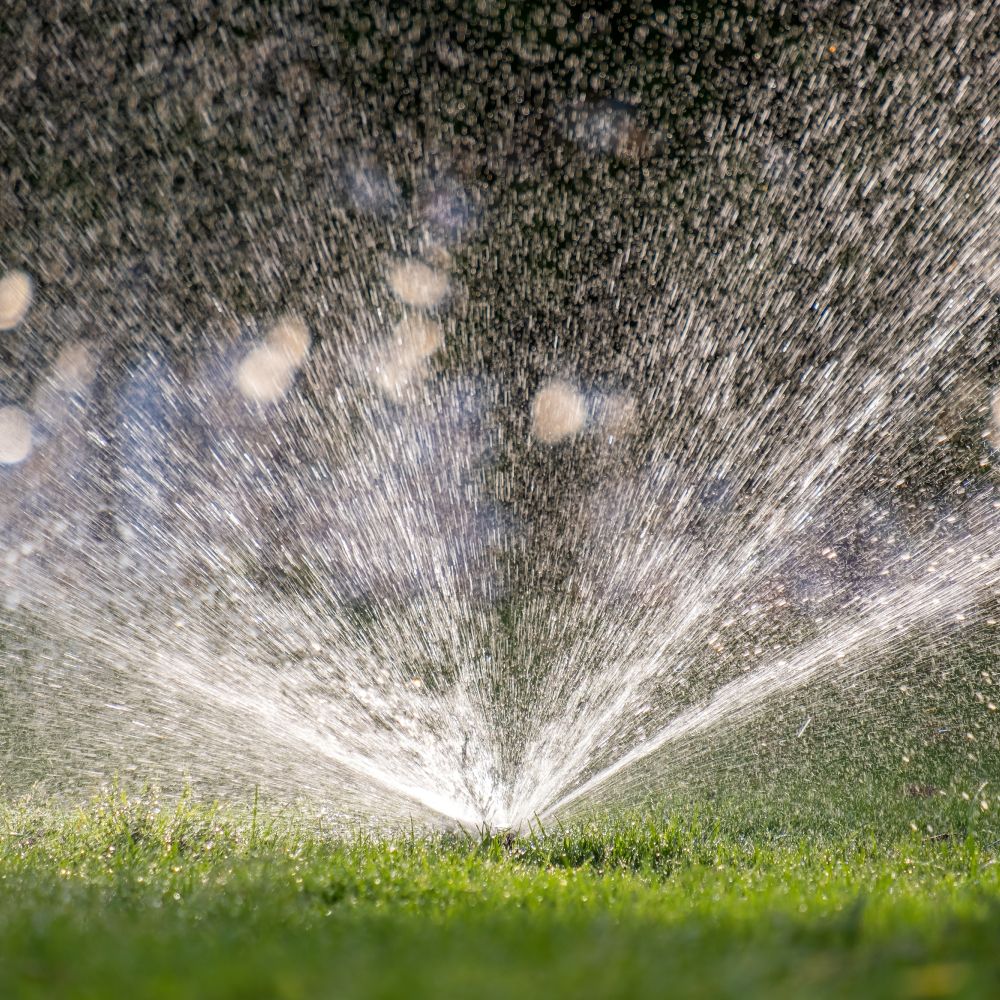 Plastic Sprinkler Irrigating Grass Lawn With Water GTFU9ND