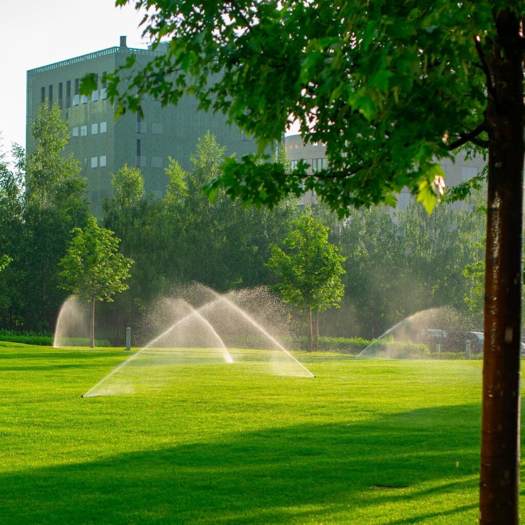 Lawn With Automatic Watering System 82SUFNA 1 1024x1024